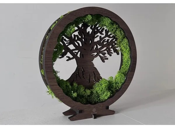 Li-Go 23631/DUB2 - Decorațiune LED de masă cu intensitate reglabilă, LED/12W/230V, 30x31 cm, stejar