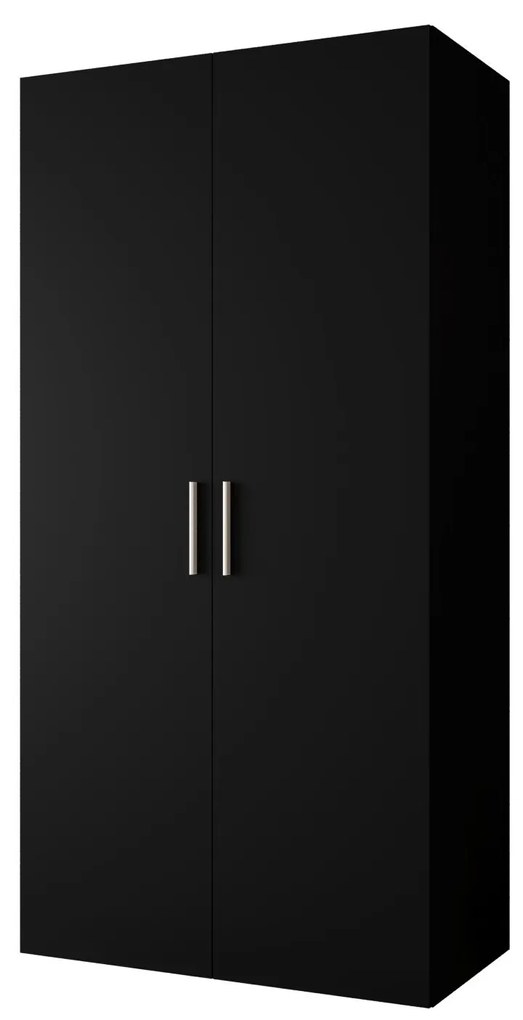 Dulap de haine 100 cm Borry 1 (Negru + Argintiu). 1125751