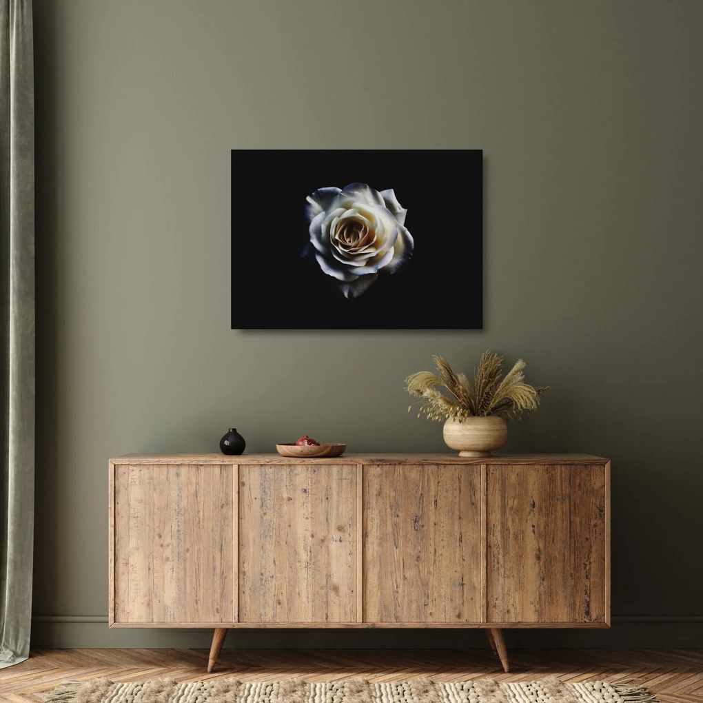 Tablou pe sticlă cu trandafir alb (70x50 cm)