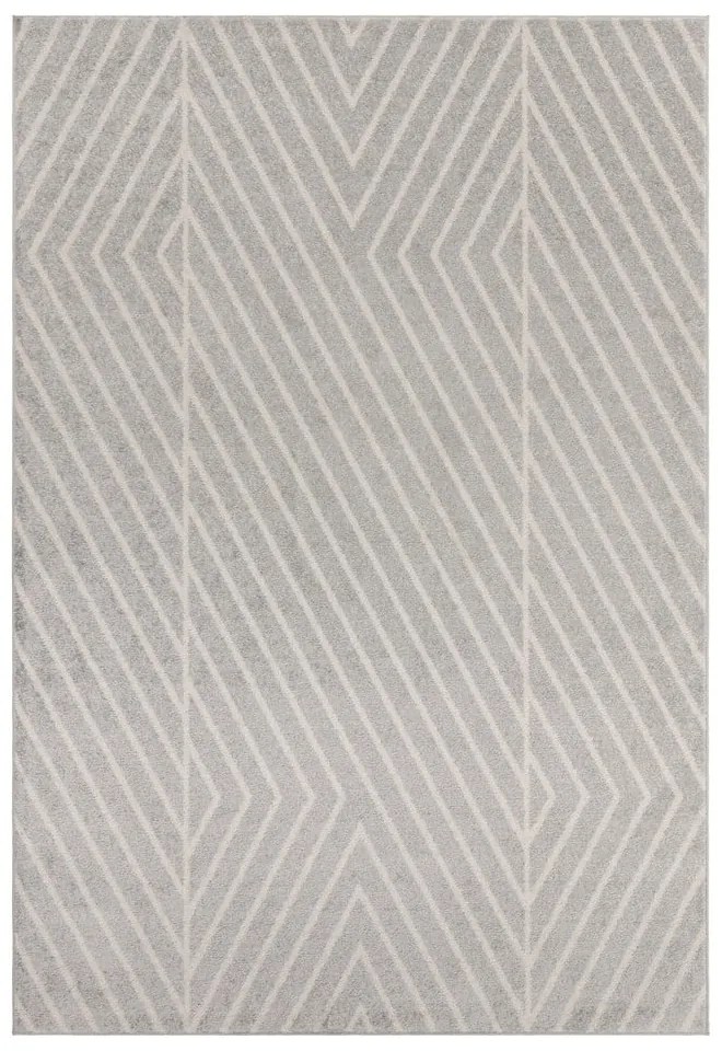 Covor gri deschis 120x170 cm Muse – Asiatic Carpets