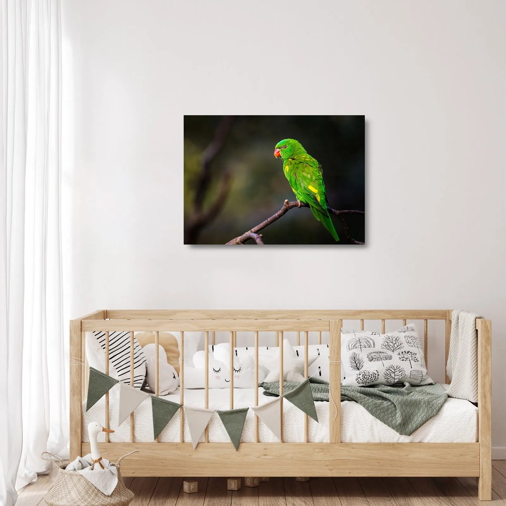 Tablou pe sticlă cu papagal pe greangă (70x50 cm)