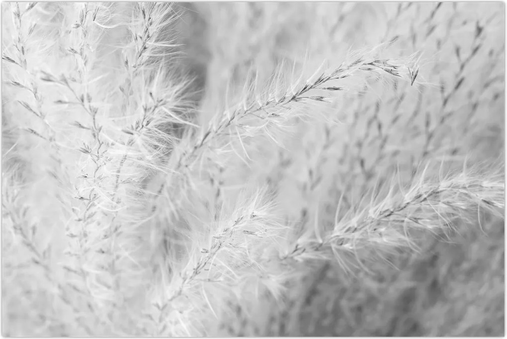 Tablou - Iarbă de pampas N⁰1 (90x60 cm)