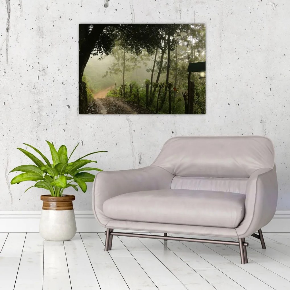 Tablou cu ceața de dimineața (70x50 cm)