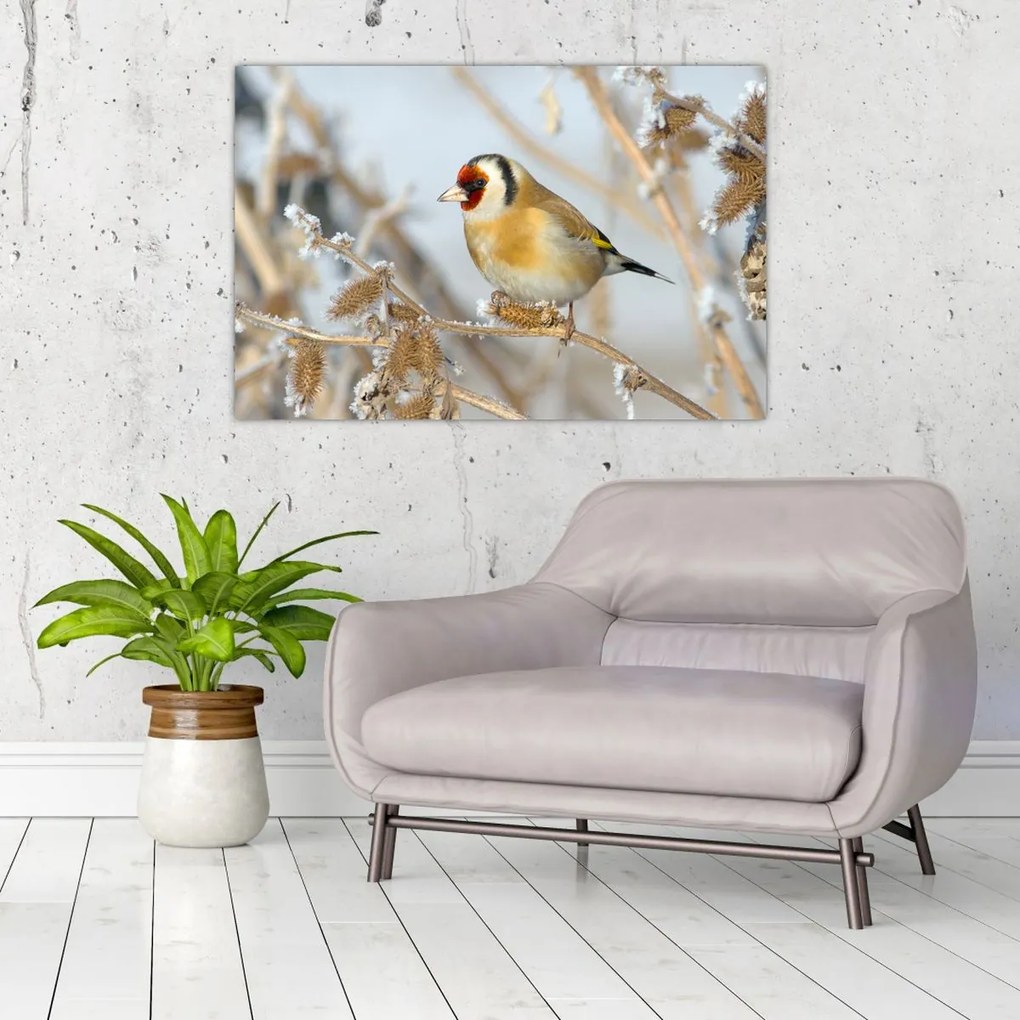 Tablou - Ciredeaua (90x60 cm)