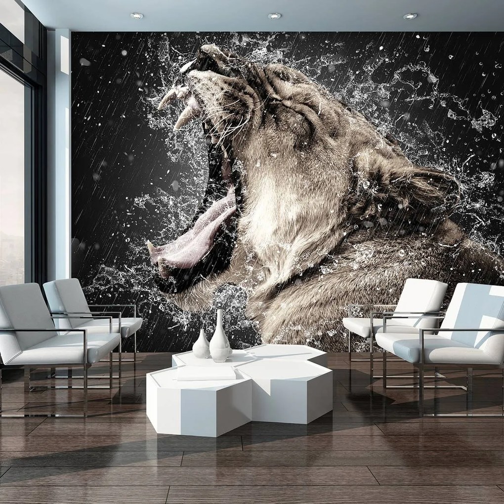 Fototapet - Leoaică în ploaie (152,5x104 cm)