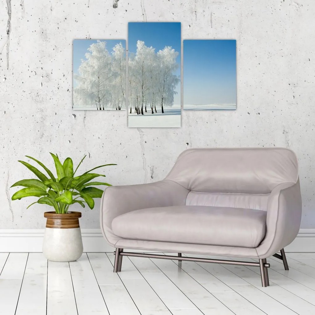 Tablou - Peisaj înzăpezit (90x60 cm)