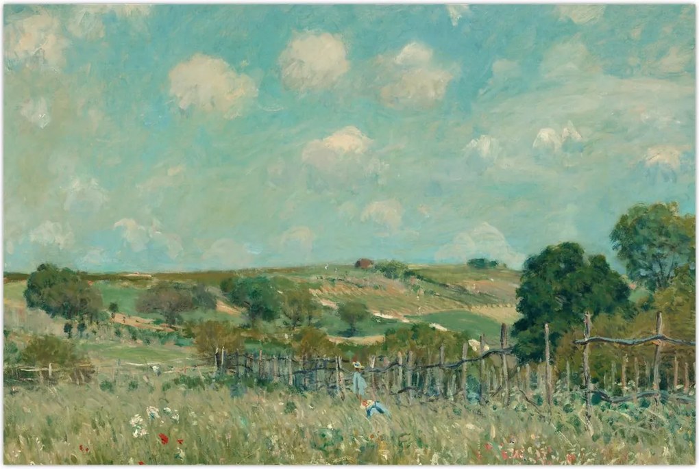 Tablou - Alfred Sisley,  Meadow, reproducere (90x60 cm)