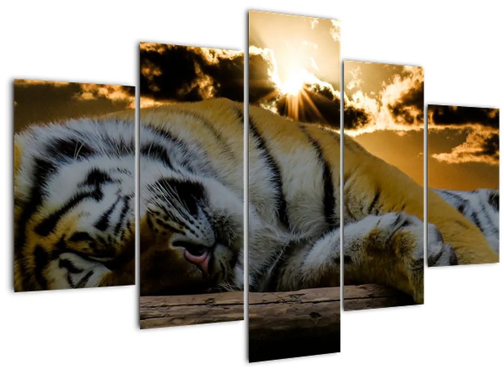 Tablou tigrul dormind (150x105 cm)