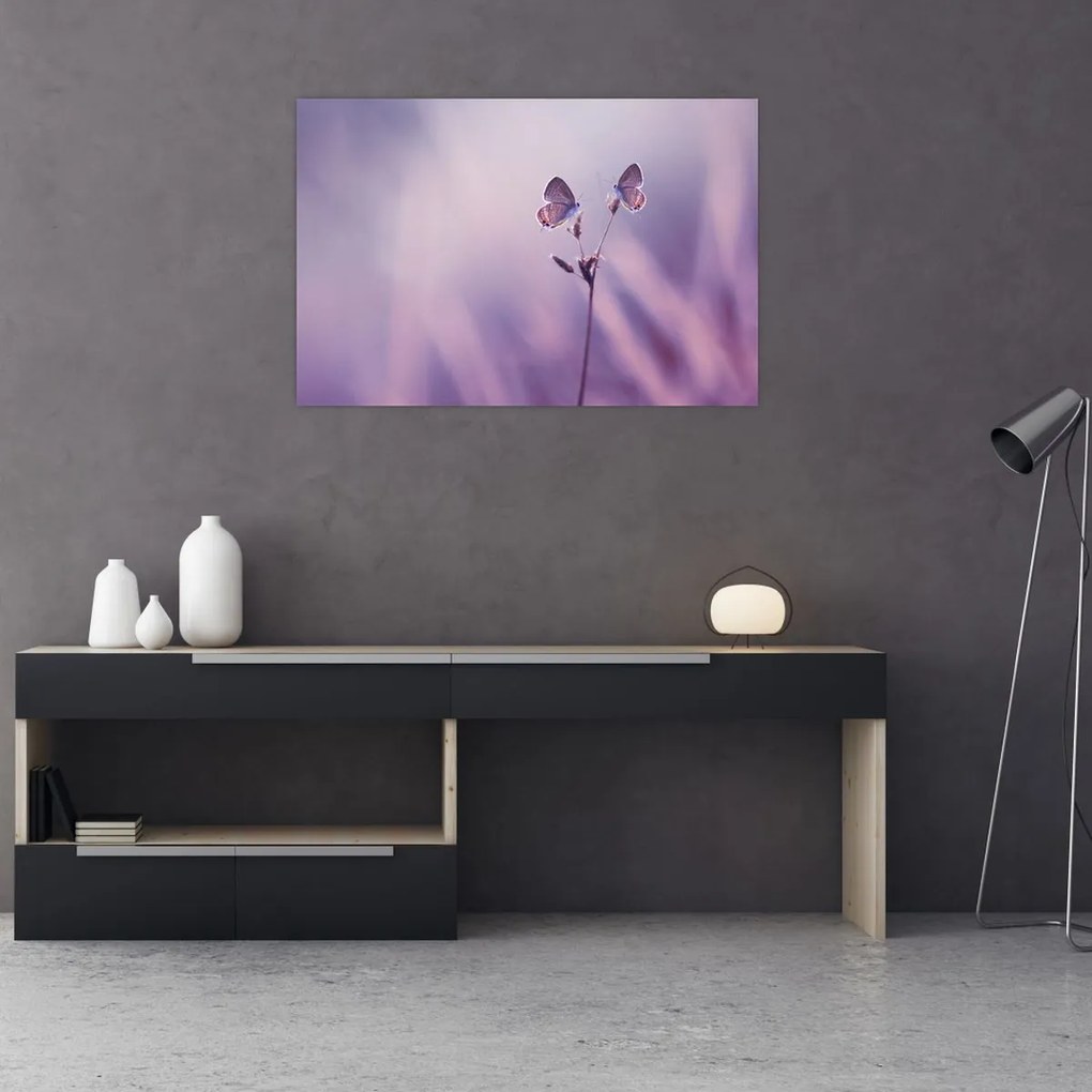 Tablou - Fluturi mov (90x60 cm)