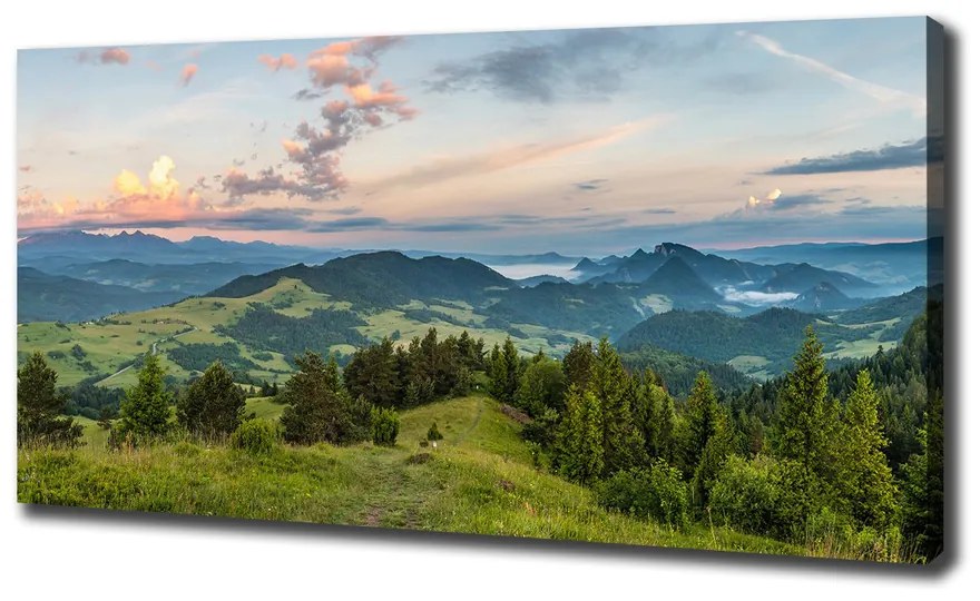 Tablouri tipărite pe pânză Panorama pieniny