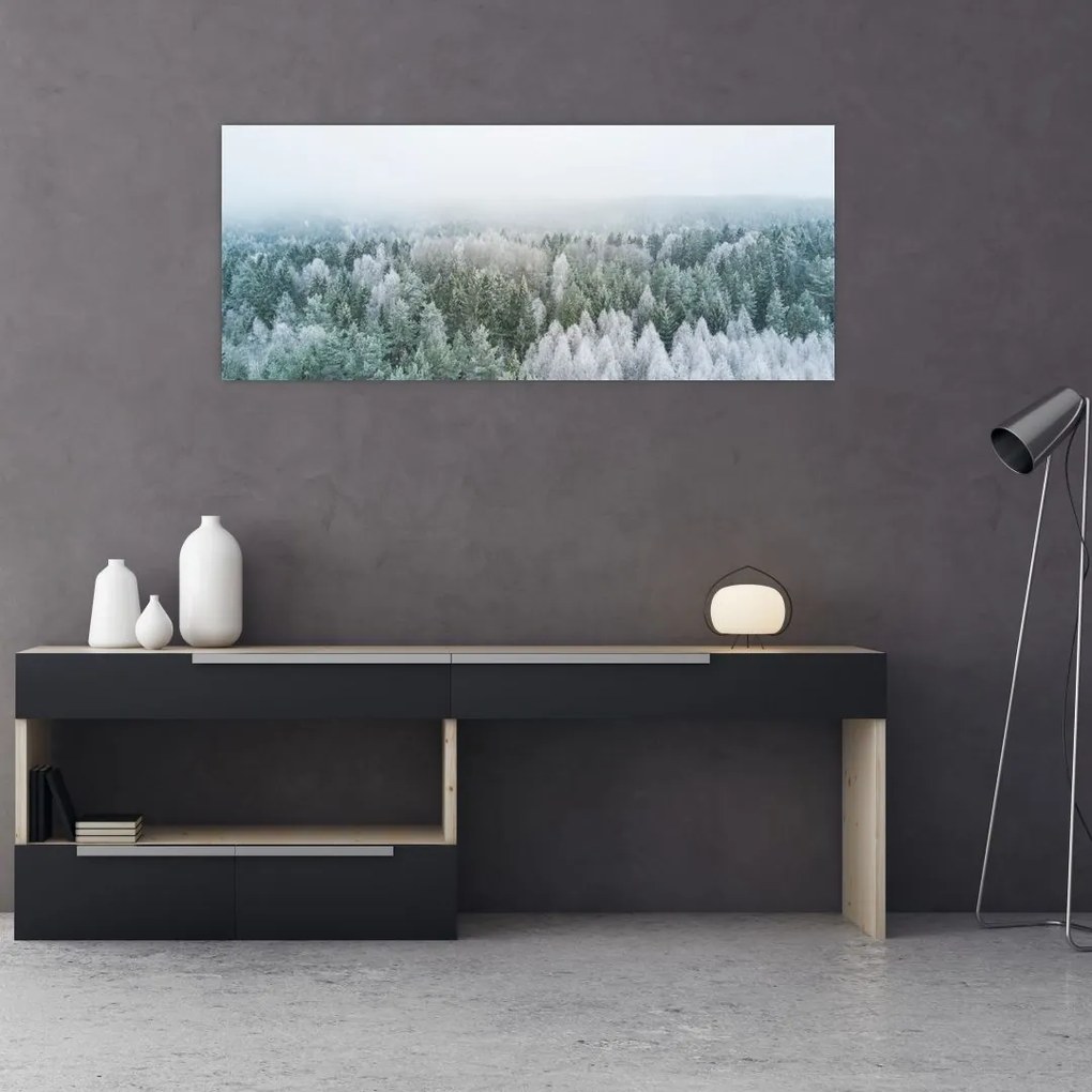 Tablou - Crestele munțillor înzăpezite (120x50 cm)