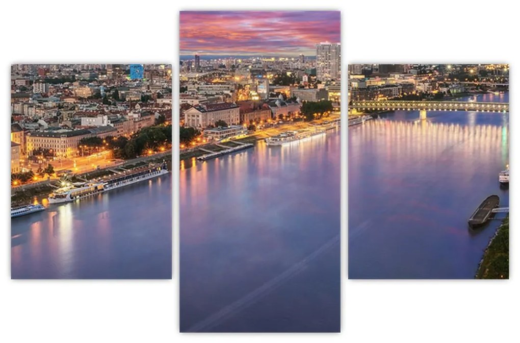 Tablou cu orașul Bratislava cu râu (90x60 cm)