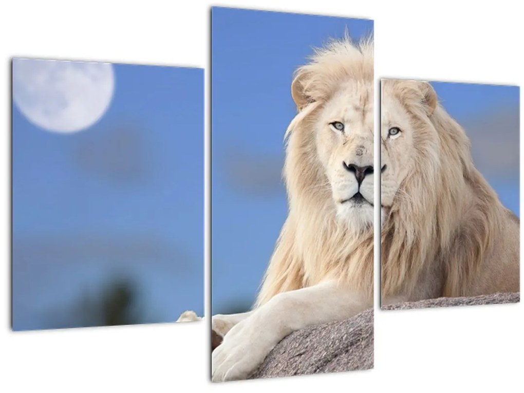 Tablou - Leu alb (90x60 cm)