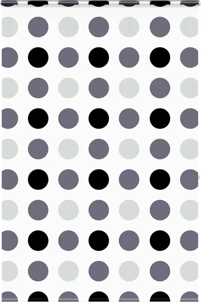 vidaXL Jaluzea cu role de duș cu casetă 160x240cm lățime material 156cm