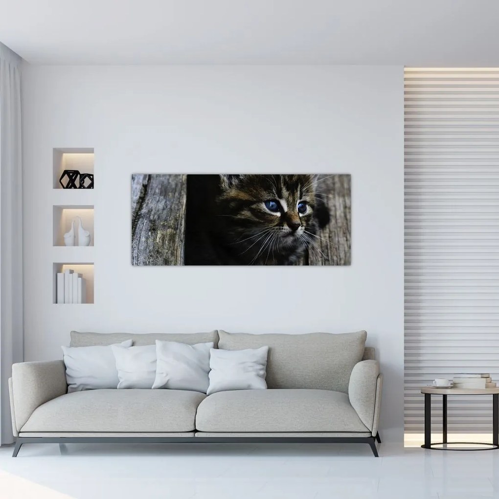 Tablou cu pisicuța (120x50 cm)