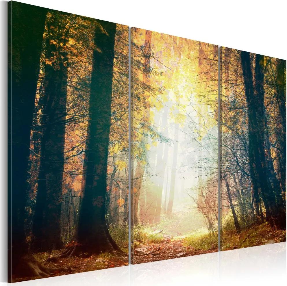 Tablou Bimago - Beauty of autumn - třídílný 60x40 cm