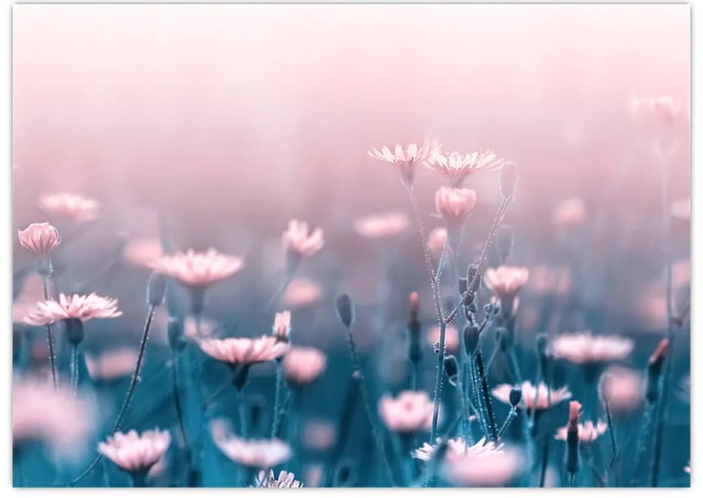 Tablou pe sticlă - Plante din pădure (70x50 cm)