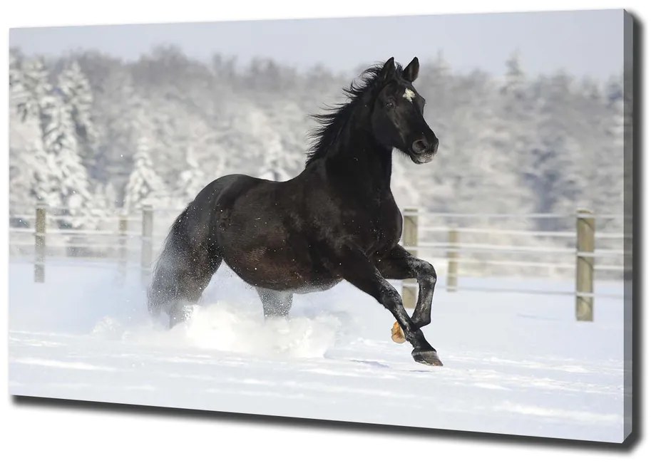 Imprimare tablou canvas Un cal în galop de zăpadă