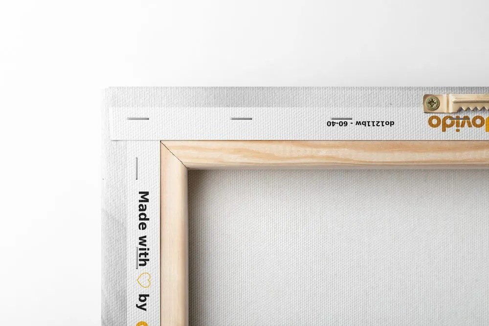 Tablou îngerul liber în design alb-negru