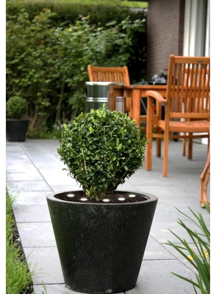 Lanț LED decorativ de exterior SPINETOLI 6xLED IP65 Eglo 900117