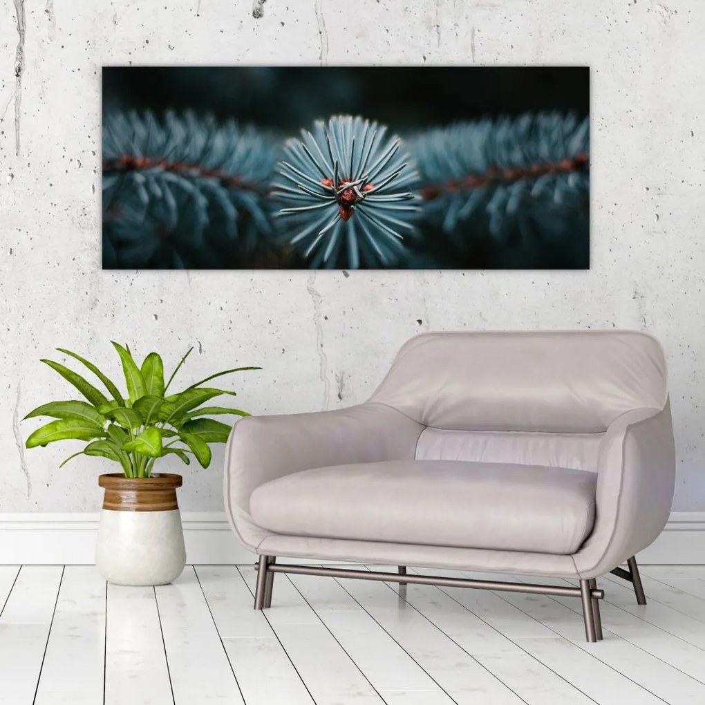 Tablou -Crenguțe ale unui conifer (120x50 cm)