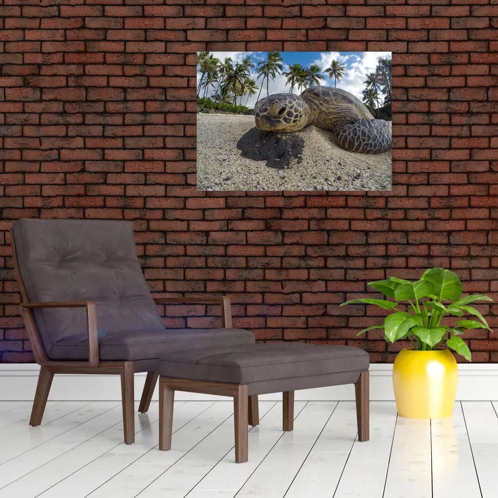 Tablou cu broască țestoasă (70x50 cm)