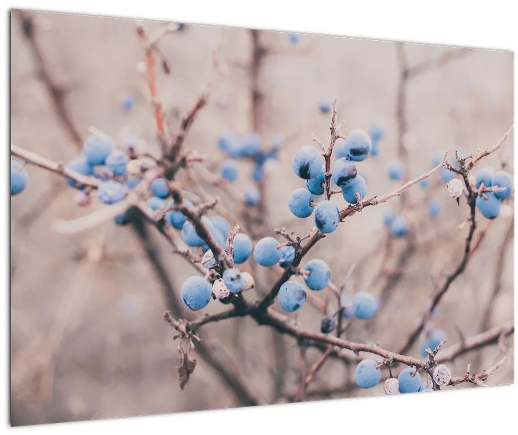 Tablou cu fructe pe tufiș (90x60 cm)