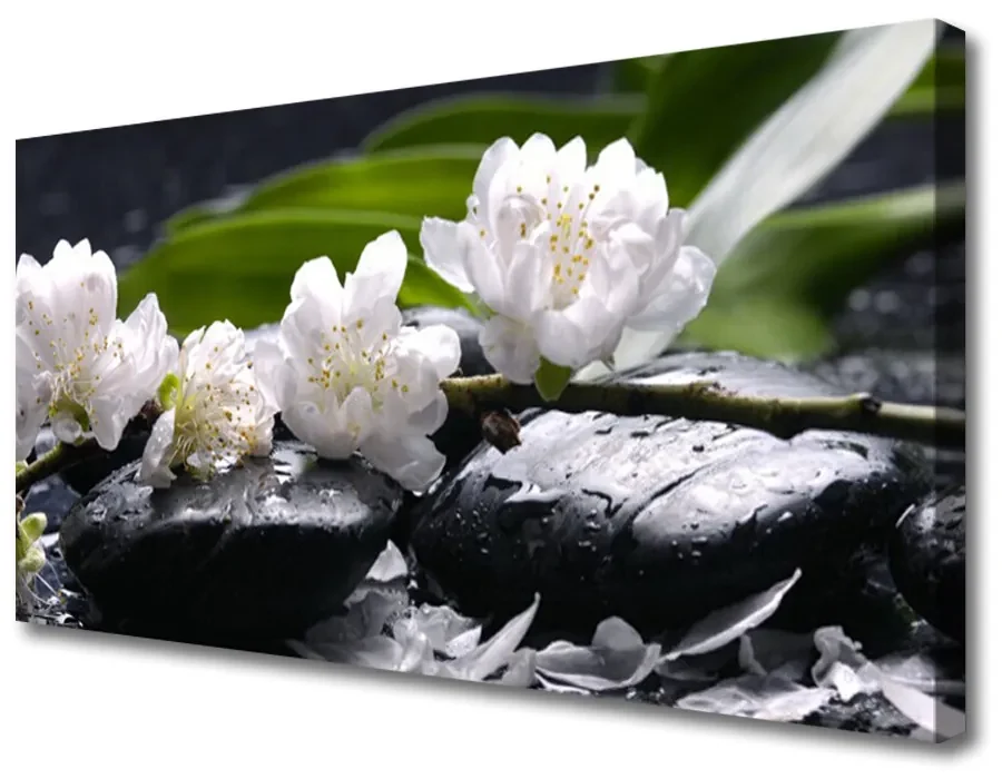 Tablou pe panza canvas Pietre florale flori alb negru