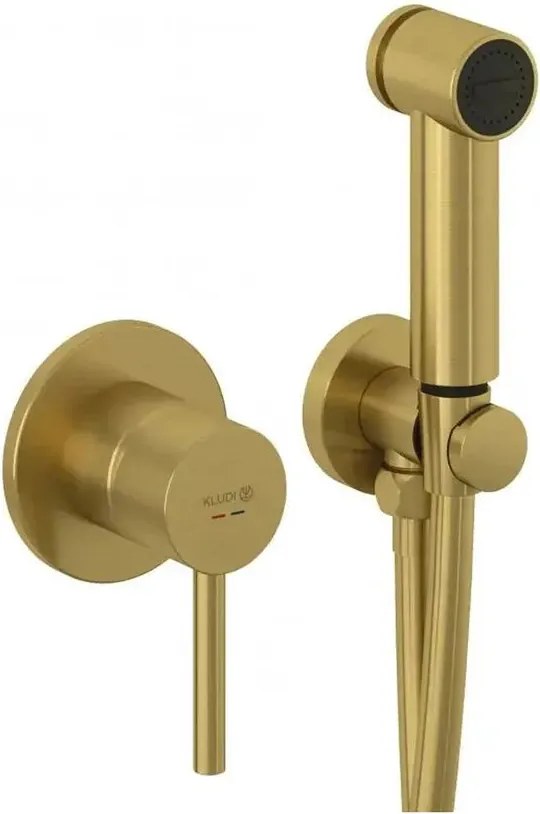 Set de dus igienic incastrat Kludi Bozz monocomanda finisaj auriu periat