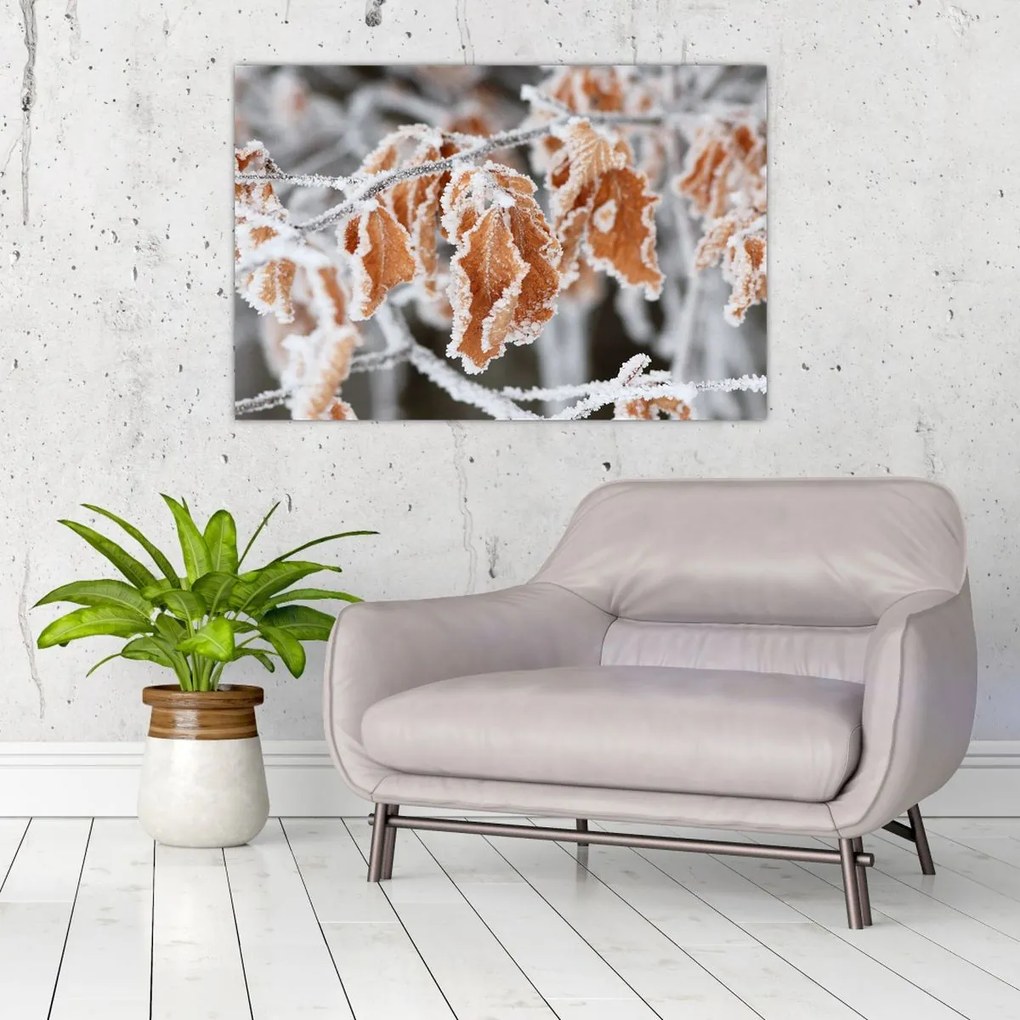 Tablou - Frunze înghețate (90x60 cm)