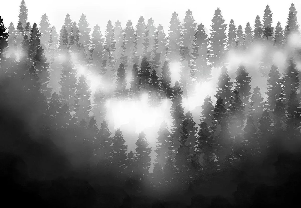 Fototapet - Pădure în ceață (147x102 cm)