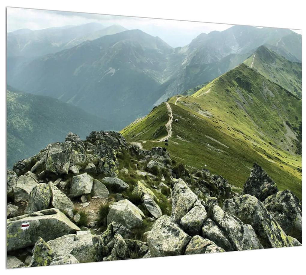 Tablou cu peisaj montan  (70x50 cm), în 40 de alte dimensiuni noi