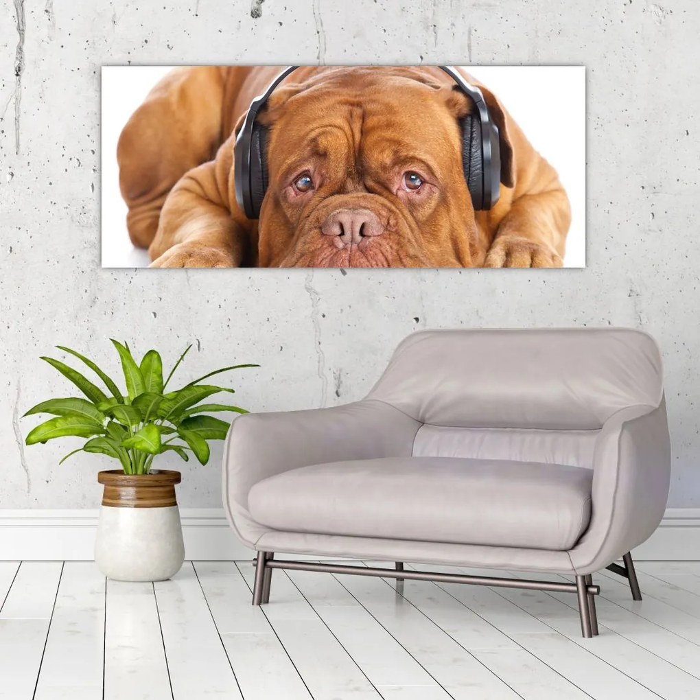 Tablou câinele cu căști (120x50 cm)