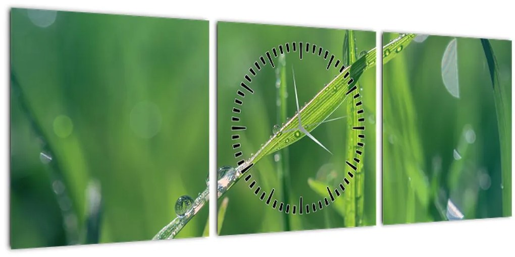 Tablou cu picături de rouă (cu ceas) (90x30 cm)