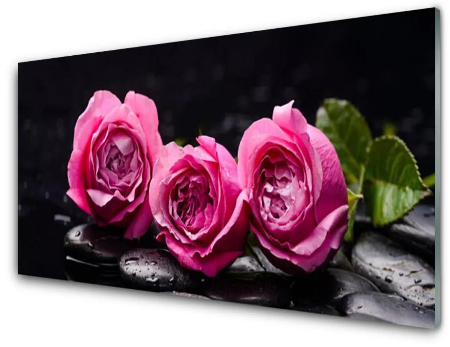 Tablouri acrilice Trandafiri pietre Floral Rosu Negru