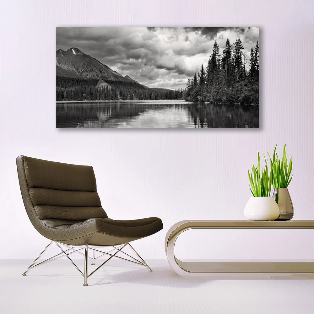 Tablou pe panza canvas Mountain Forest Lake Nature Gray