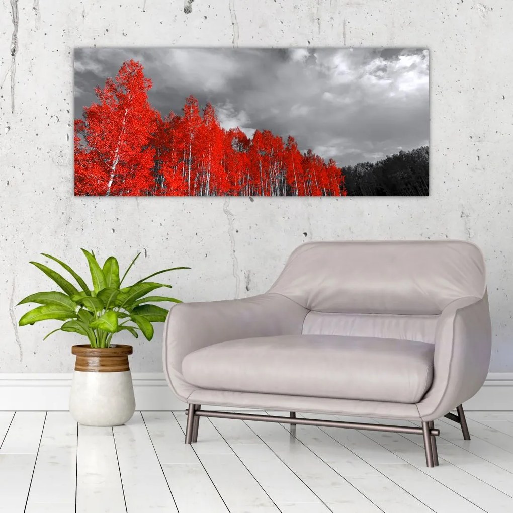 Tablou - Copaci în culorile toamnei (120x50 cm)