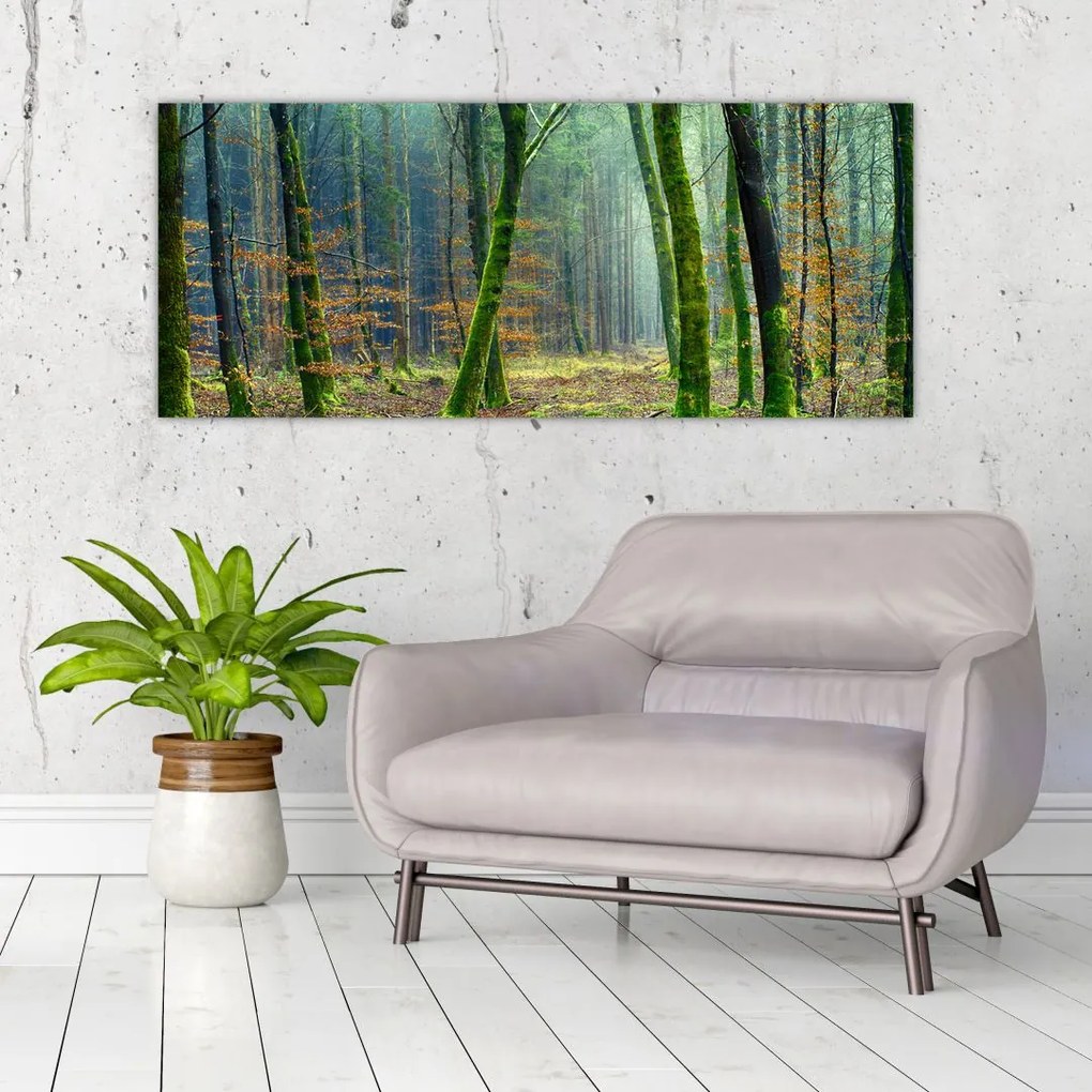 Tablou cu pădure (120x50 cm)