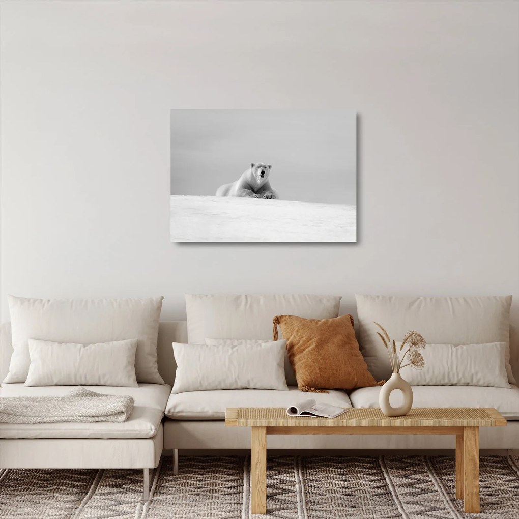 Tablou pe sticlă - Ursul polar (70x50 cm)