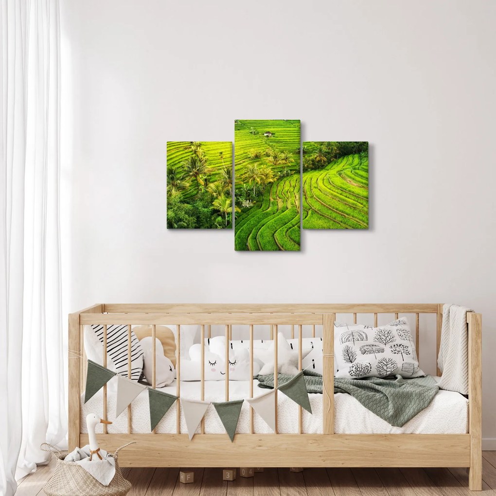 Tablou - Terase de orez (90x60 cm)