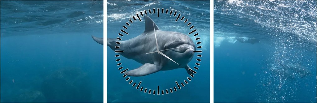 Tablou - Delfin sub apă (cu ceas) (90x30 cm)