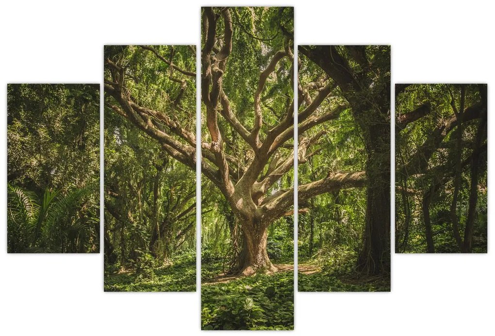 Tablou cu copaci (150x105 cm)