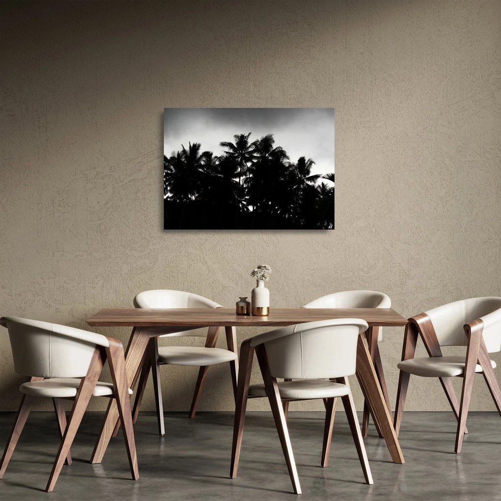 Tablou pe sticlă alb negru - palmieri (70x50 cm)