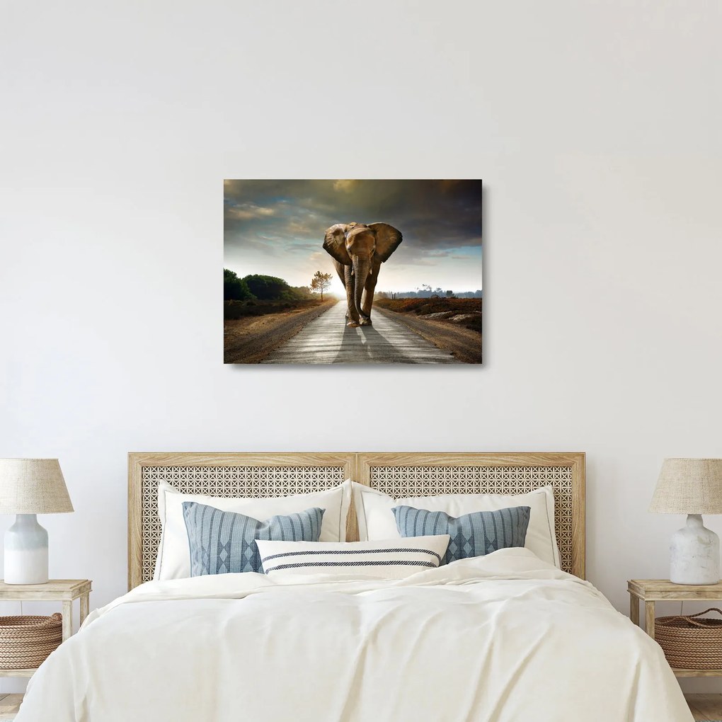 Tablou pe sticlă cu elefant (70x50 cm)