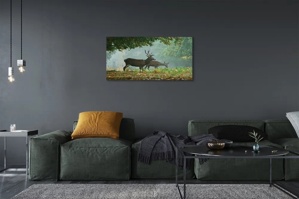 Tablouri canvas pădure toamna Deer