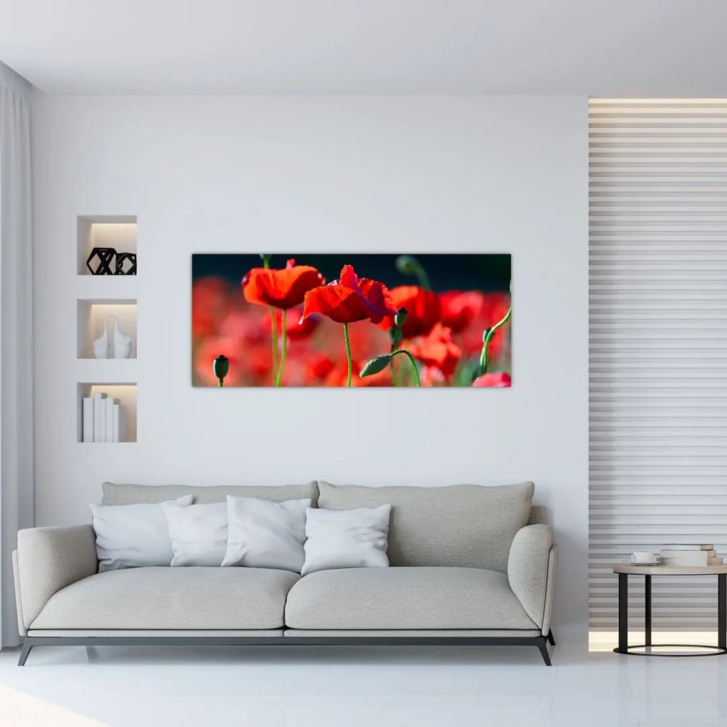 Tablou - flori de maci (120x50 cm), în 40 de alte dimensiuni noi