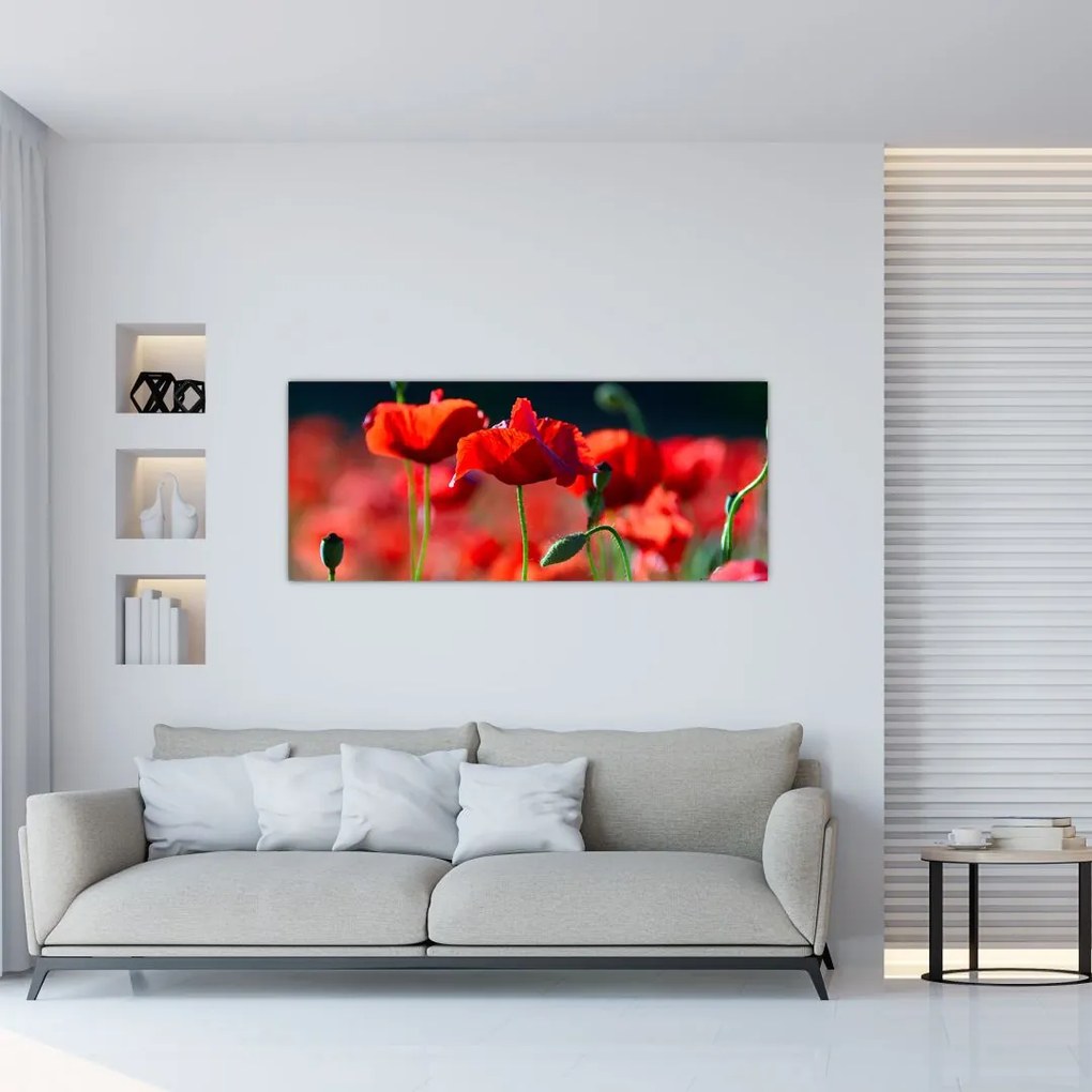 Tablou - flori de maci (120x50 cm)