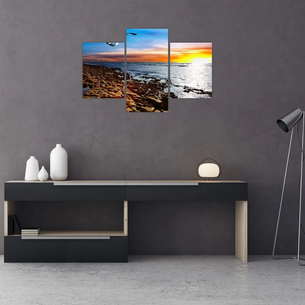 Tablou - Pescărușul zboară deasupra coastei (90x60 cm)