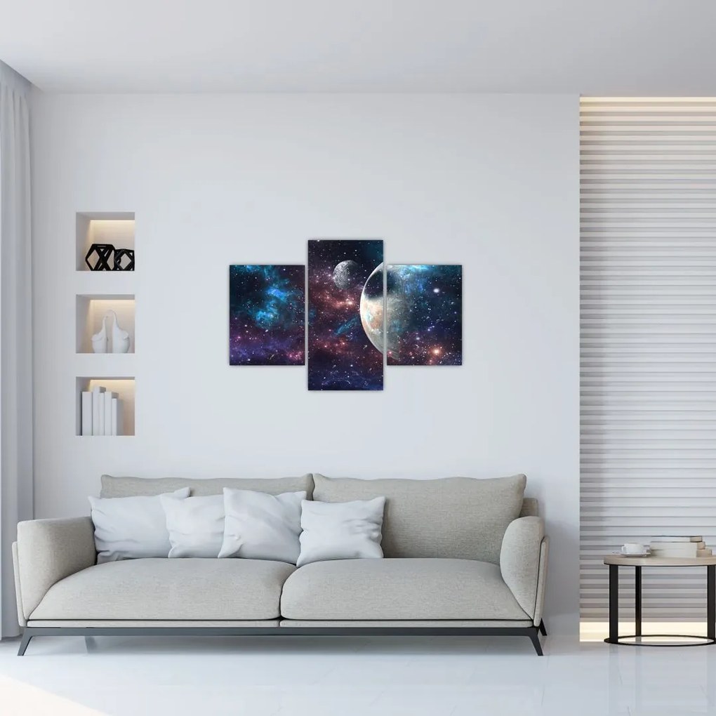 Tablou cu cosmos (90x60 cm)