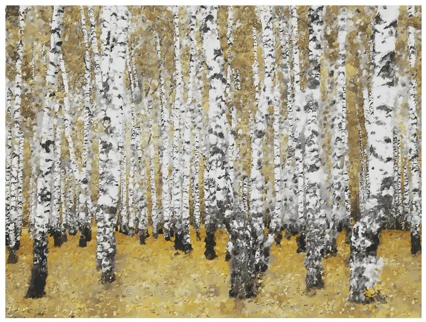 Fototapet - Autumnal birch forest